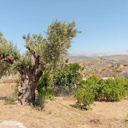 Aggeli فيلة *