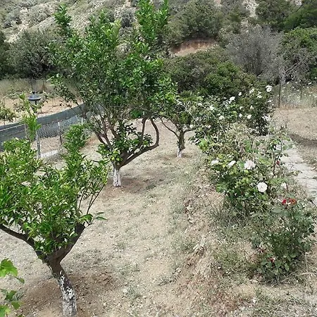 Aggeli